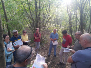 Convegno-certificazione-forestale-Quarto-d'Altino-bosco-2