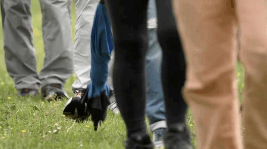 videopillola-associazionismo-forestale