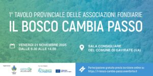 Il-bosco-cambia-passo